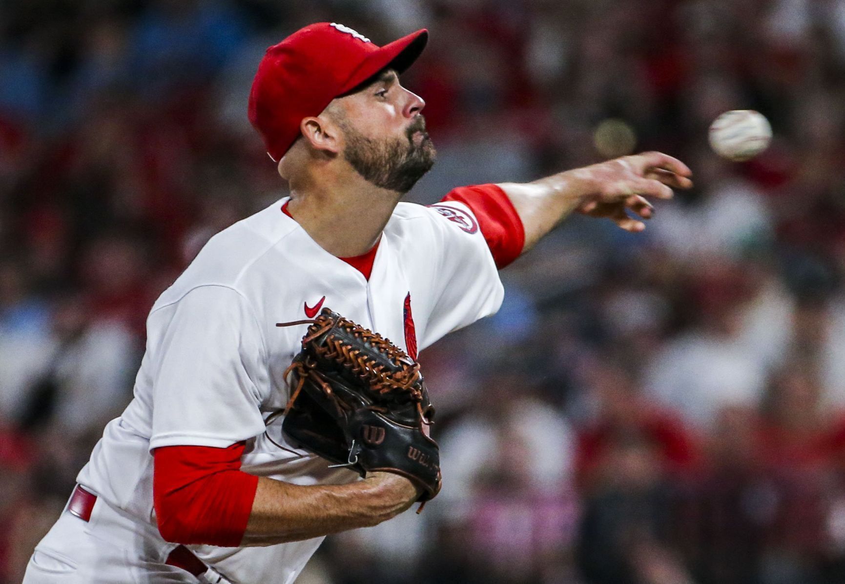 Cardinals clinch wildcard with 17th consecutive win